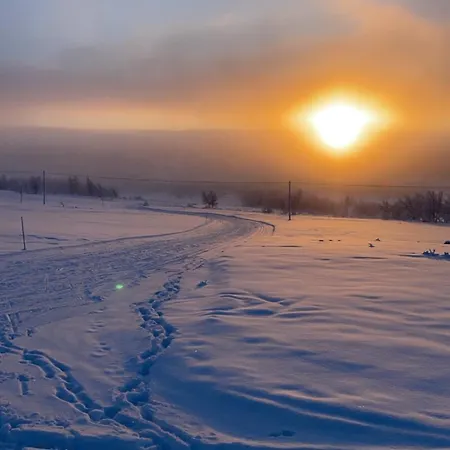 Homey Steps From Dining And Activities! *