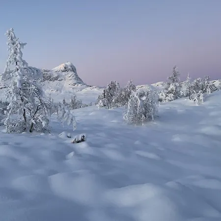 Homey Steps From Dining And Activities! Beitostolen