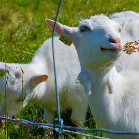 Homey Steps From Dining And Activities! Daire *